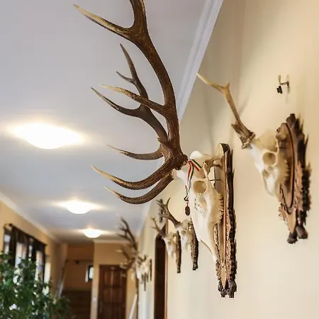 Vaddiszno Apartman Jakuzzis Vendeghaz Apartment *